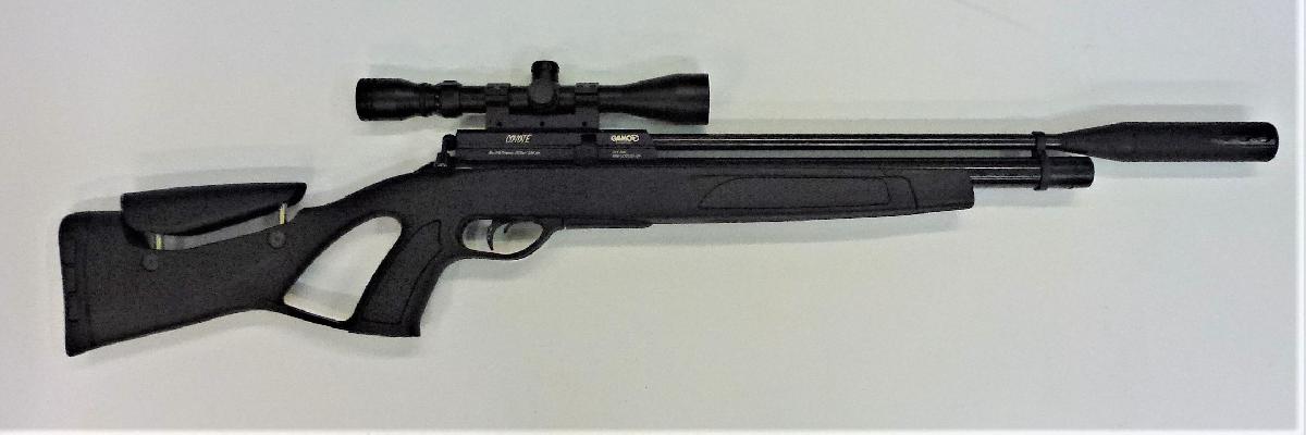 Gamo - P1030060 (2)